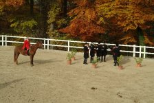 Stuttgarter Jagd 2007